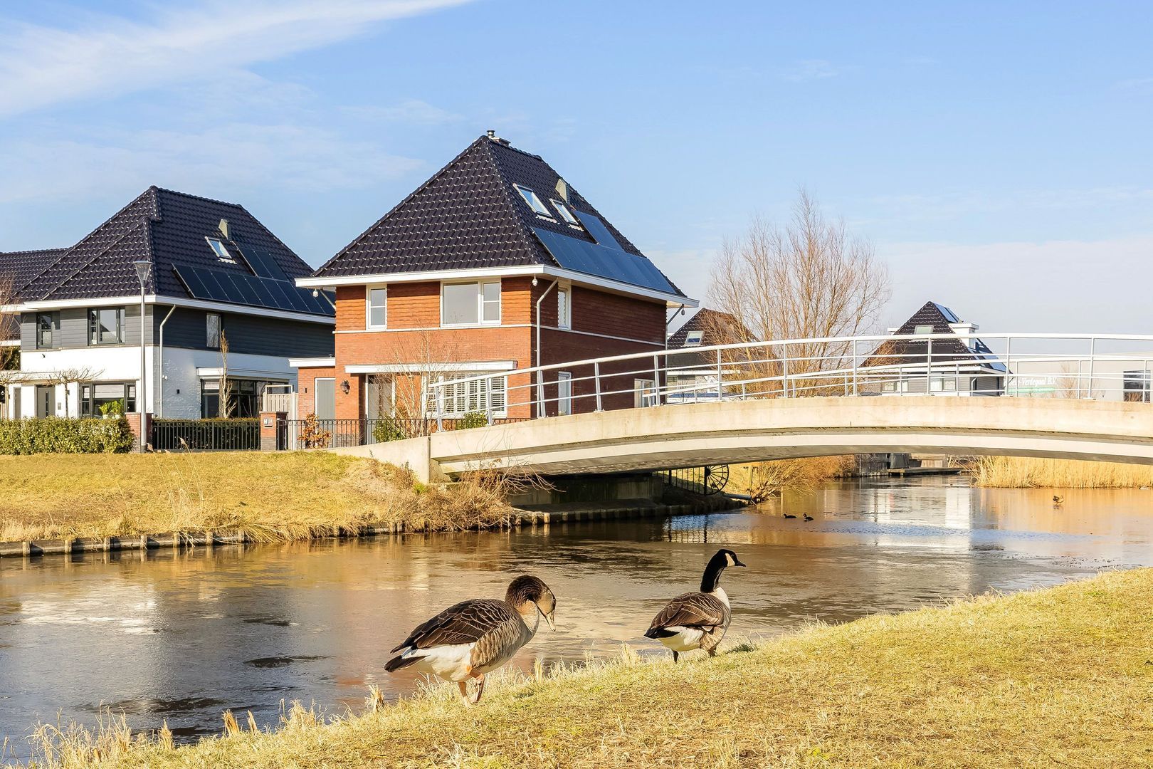 Abeelenpark 24, Noordwijkerhout foto-58