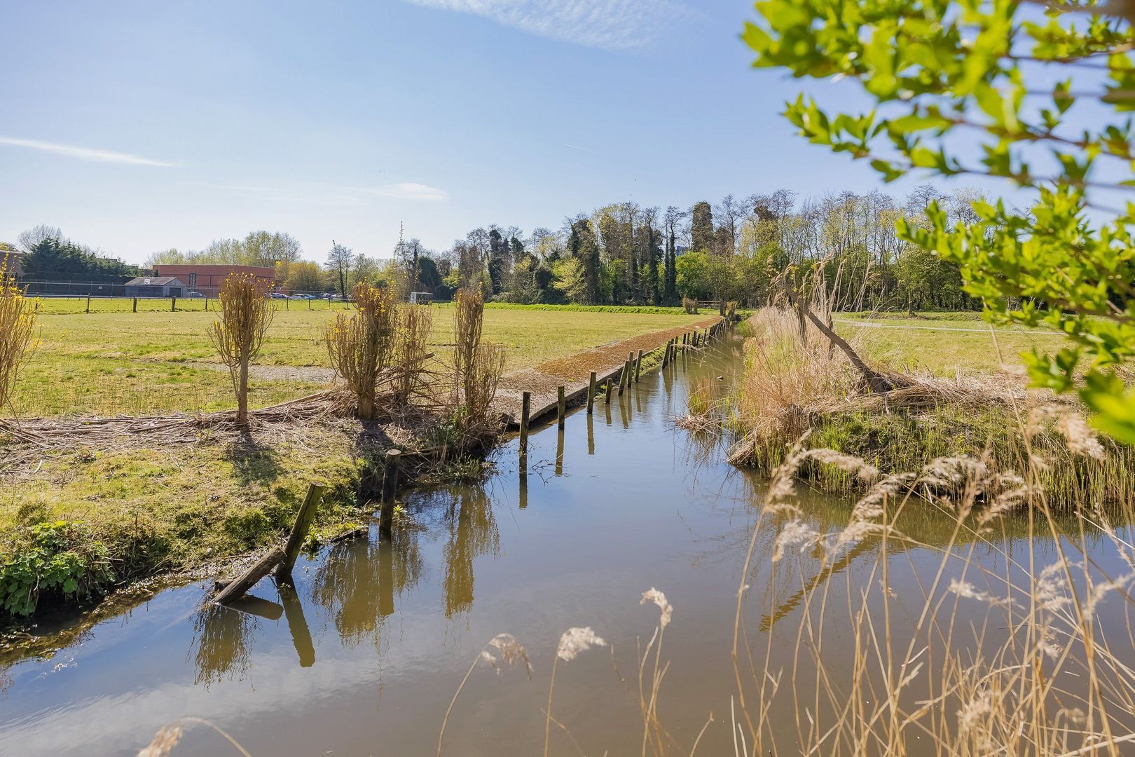 Dirck van Swietenlaan 25, Oegstgeest foto-61