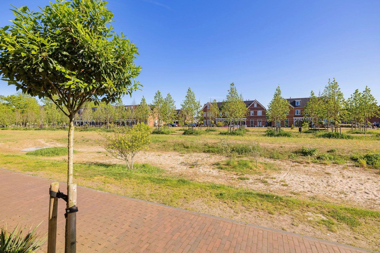 Sint Bavopark 5, Noordwijkerhout foto-54