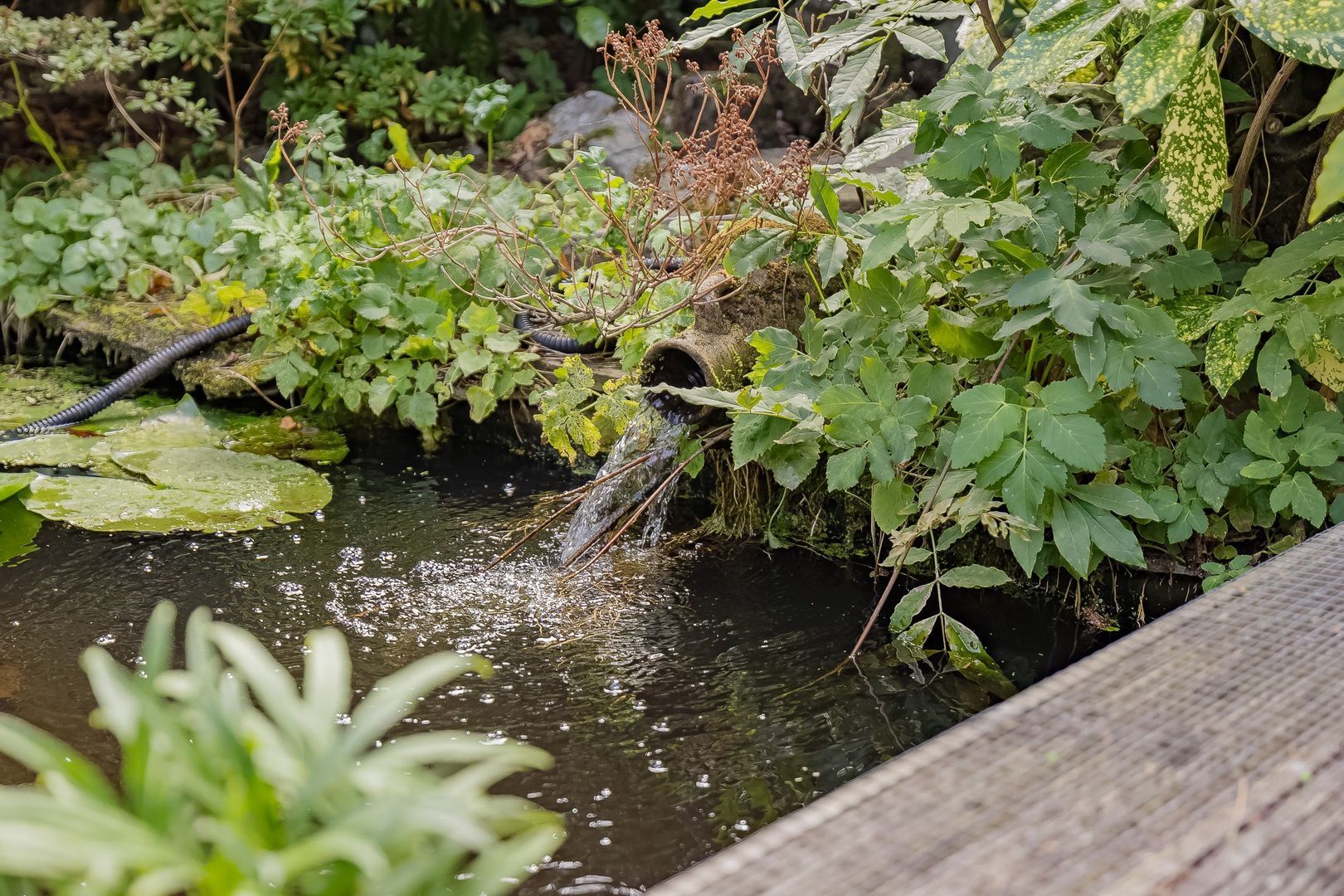 Zilkerduinweg 72, De Zilk foto-60