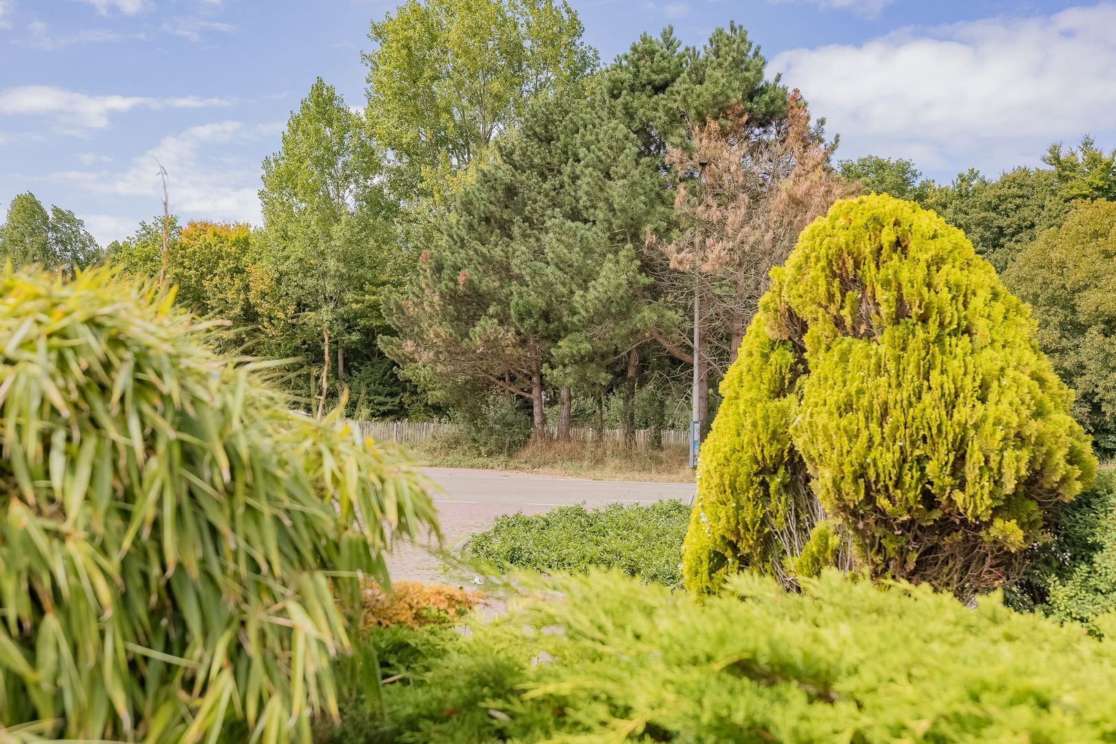 Zilkerduinweg 72, De Zilk foto-67