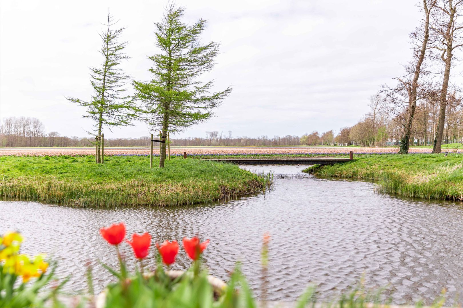 Achterweg-Zuid 56, Lisse foto-74