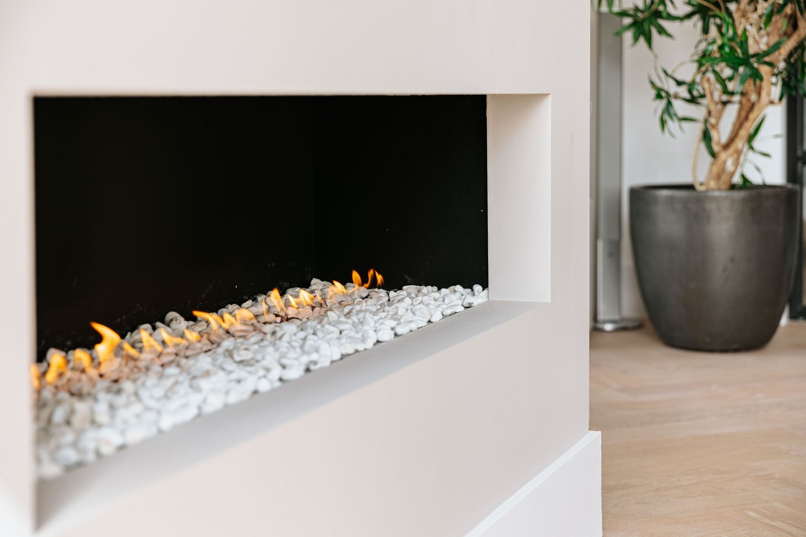 Achterweg-Zuid 56, Lisse foto-15