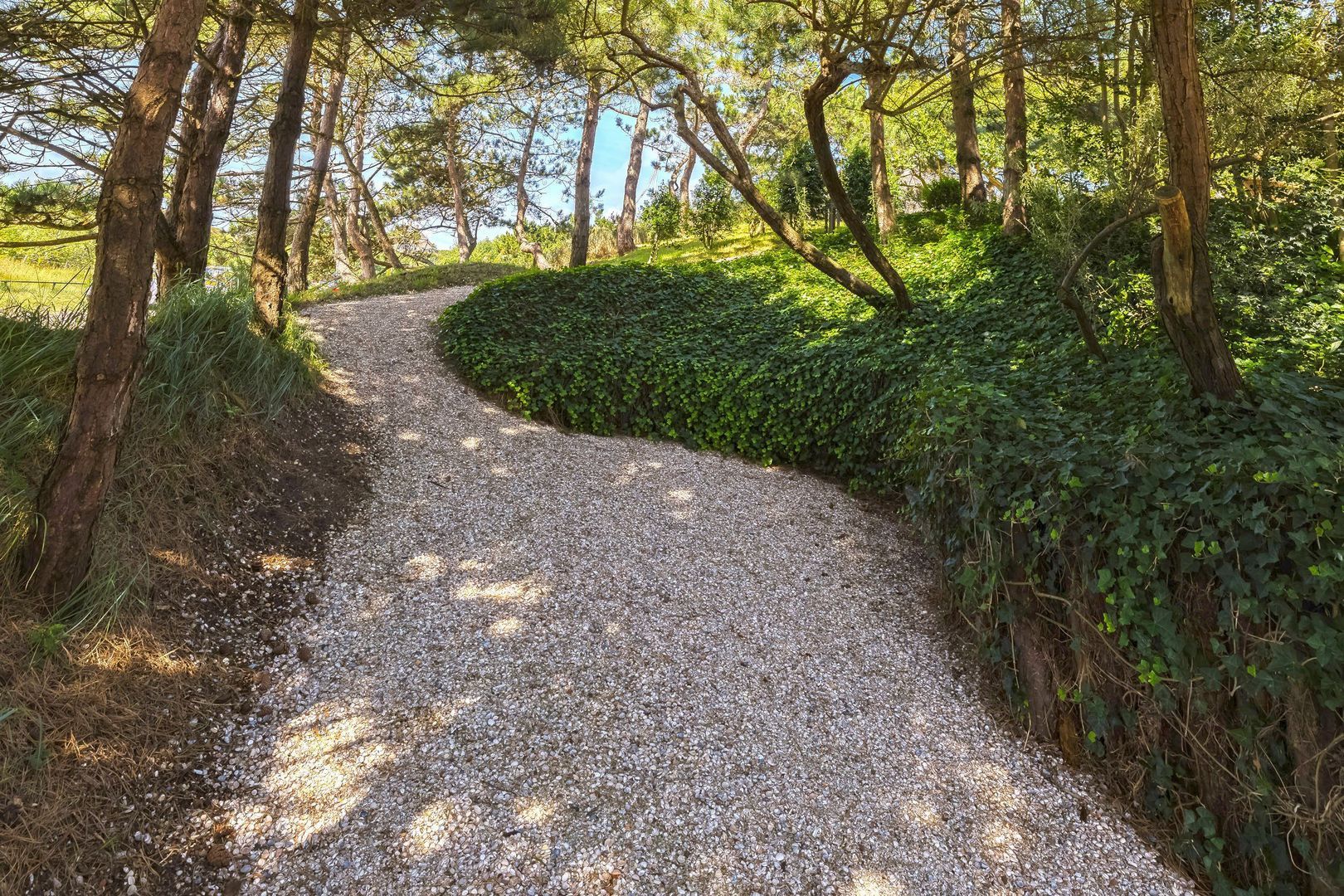 Dennenweg 8, Noordwijk foto-76