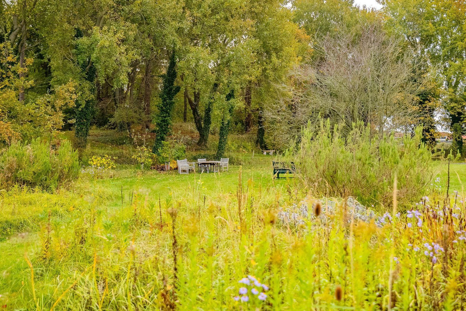 Bekslaan 58, Vogelenzang foto-68
