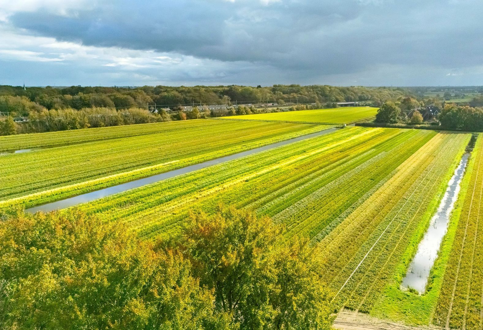 Bekslaan 58, Vogelenzang foto-72