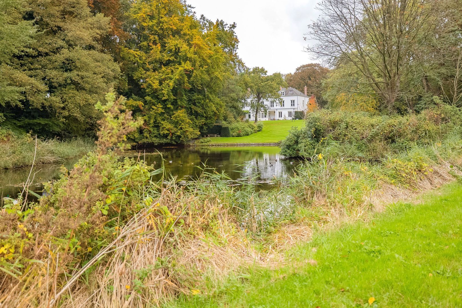 Bekslaan 58, Vogelenzang foto-70