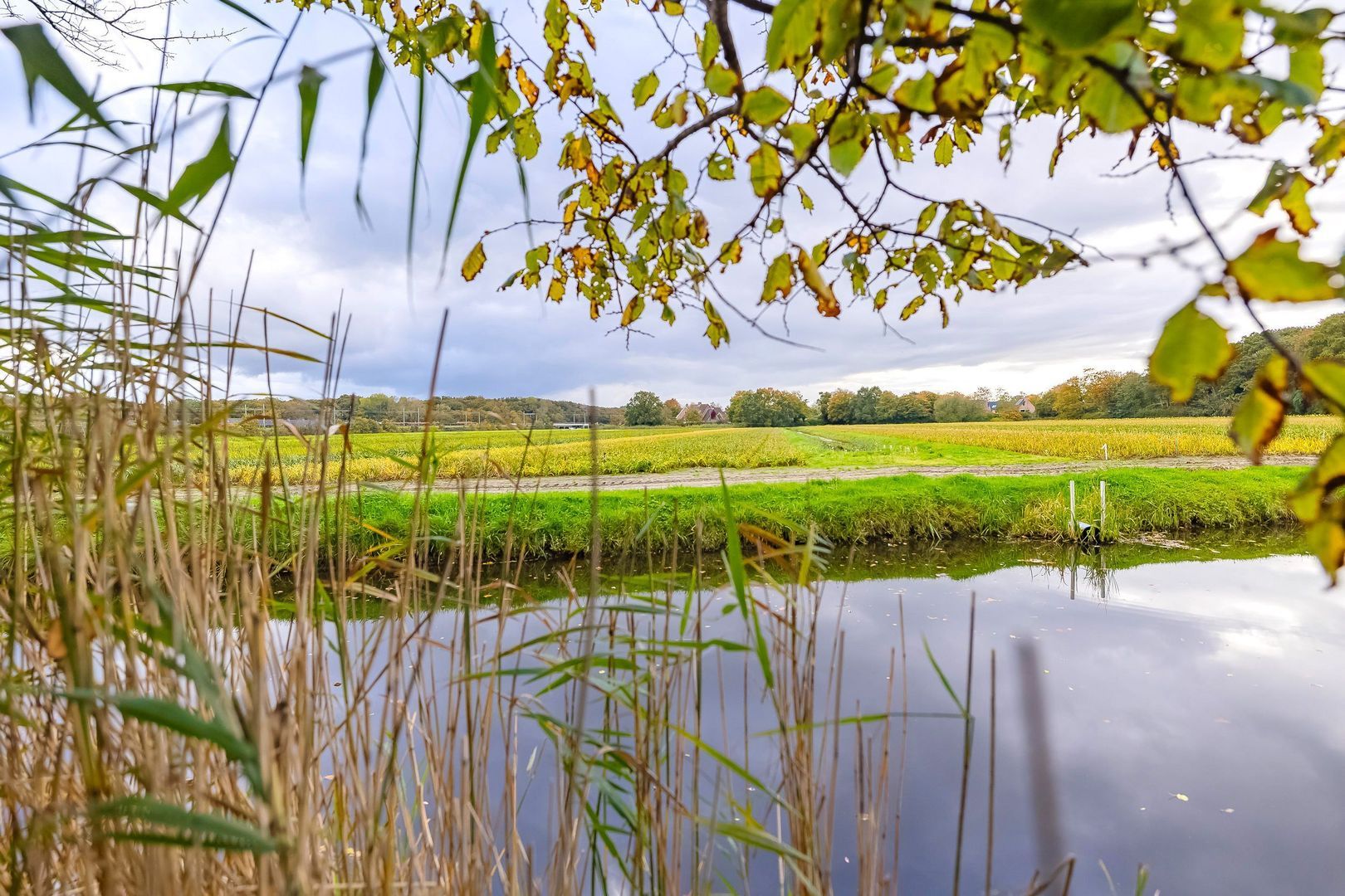 Bekslaan 58, Vogelenzang foto-65