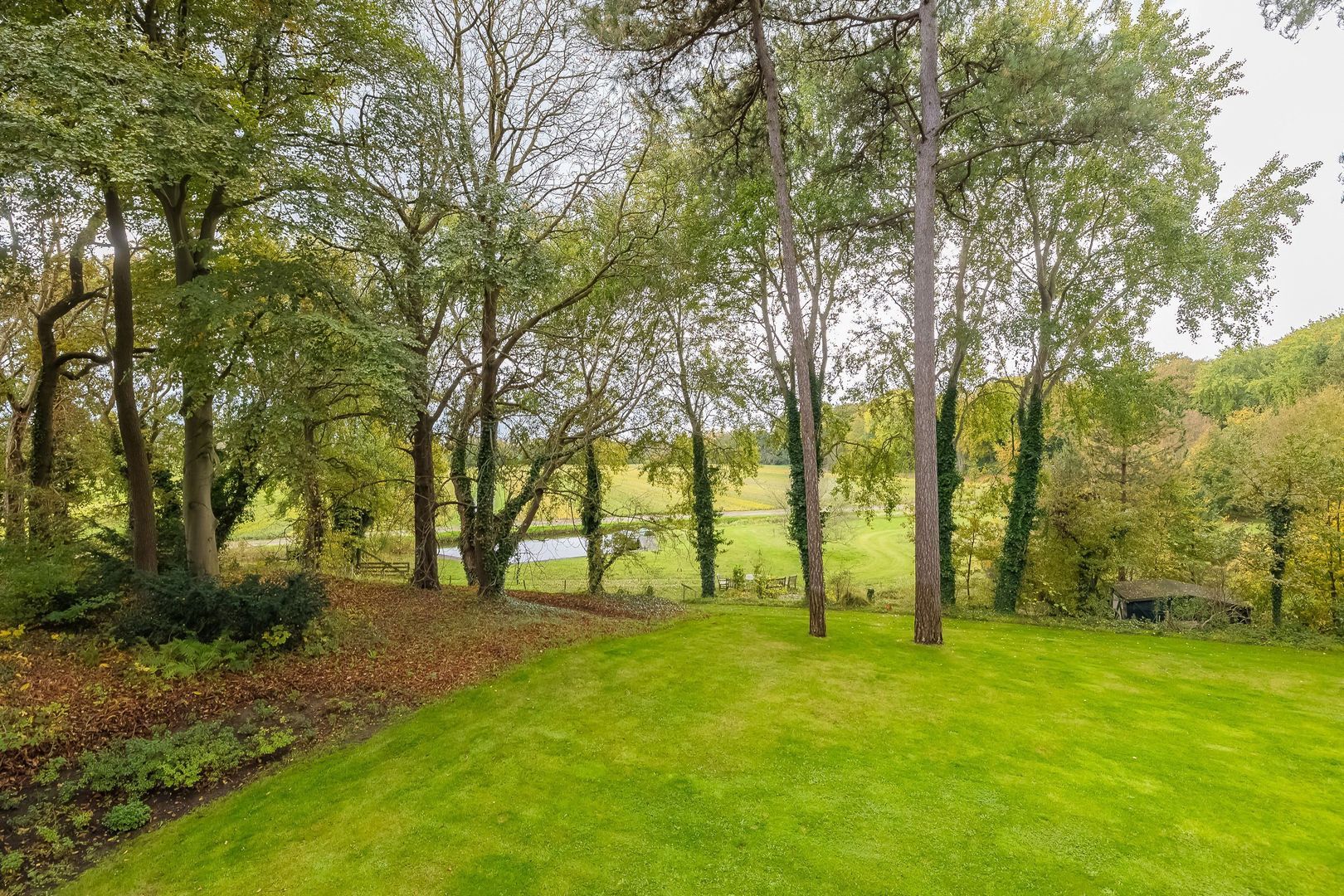 Bekslaan 58, Vogelenzang foto-66