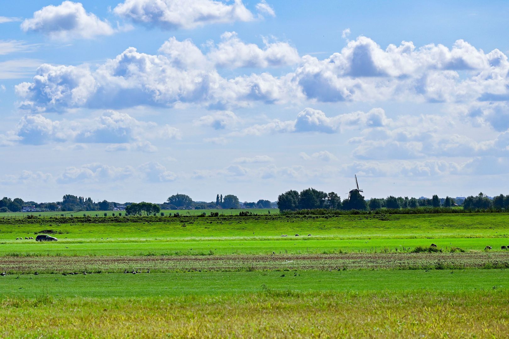 Boeghof 6, Leimuiden foto-34