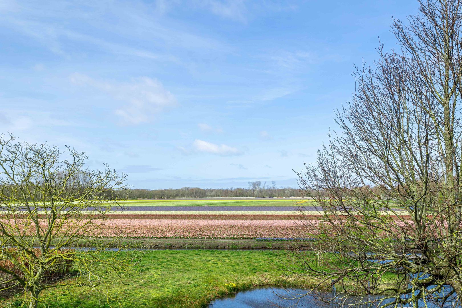 Achterweg-Zuid 56, Lisse foto-48