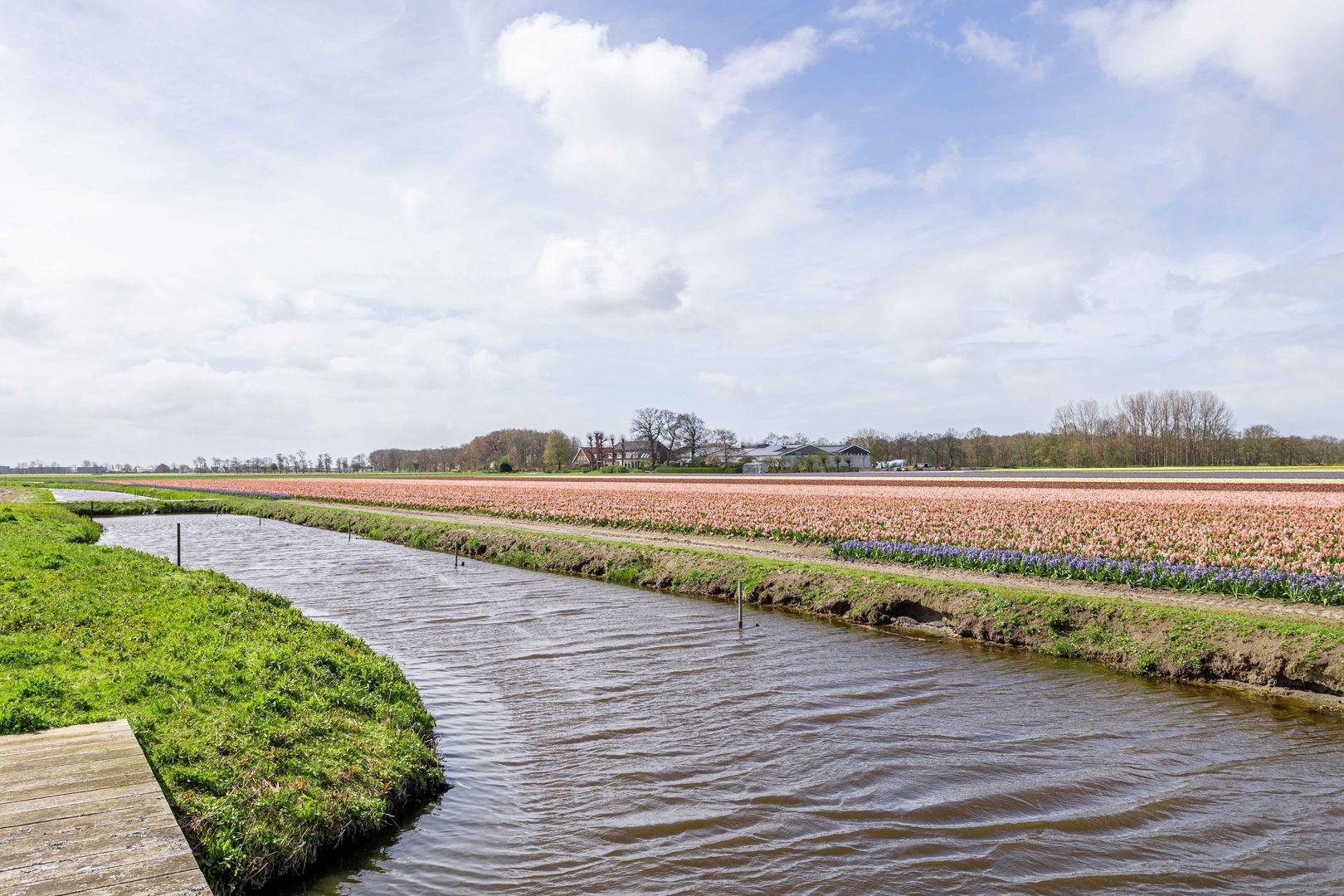 Achterweg-Zuid 56, Lisse foto-73