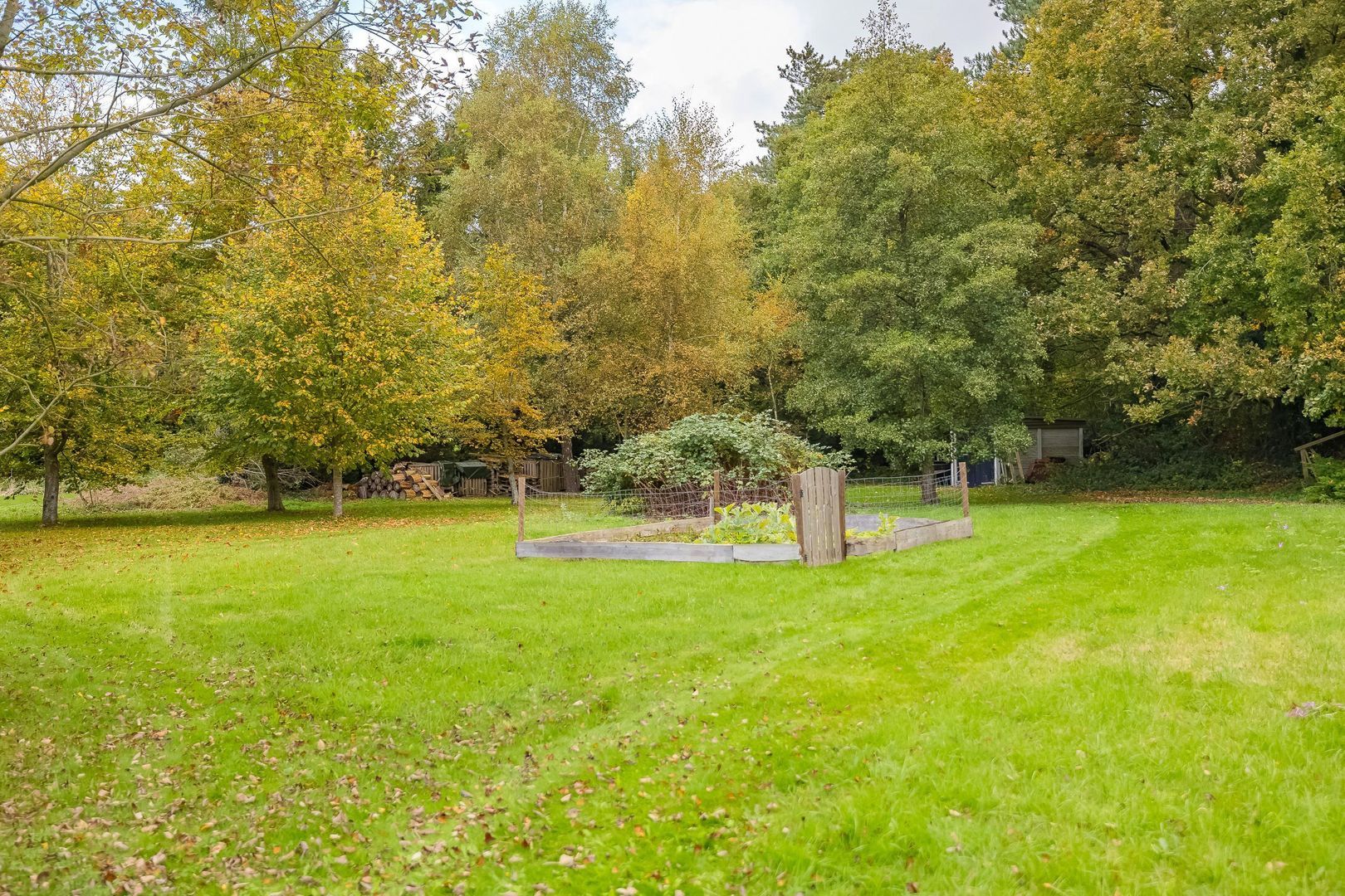 Bekslaan 58, Vogelenzang foto-69