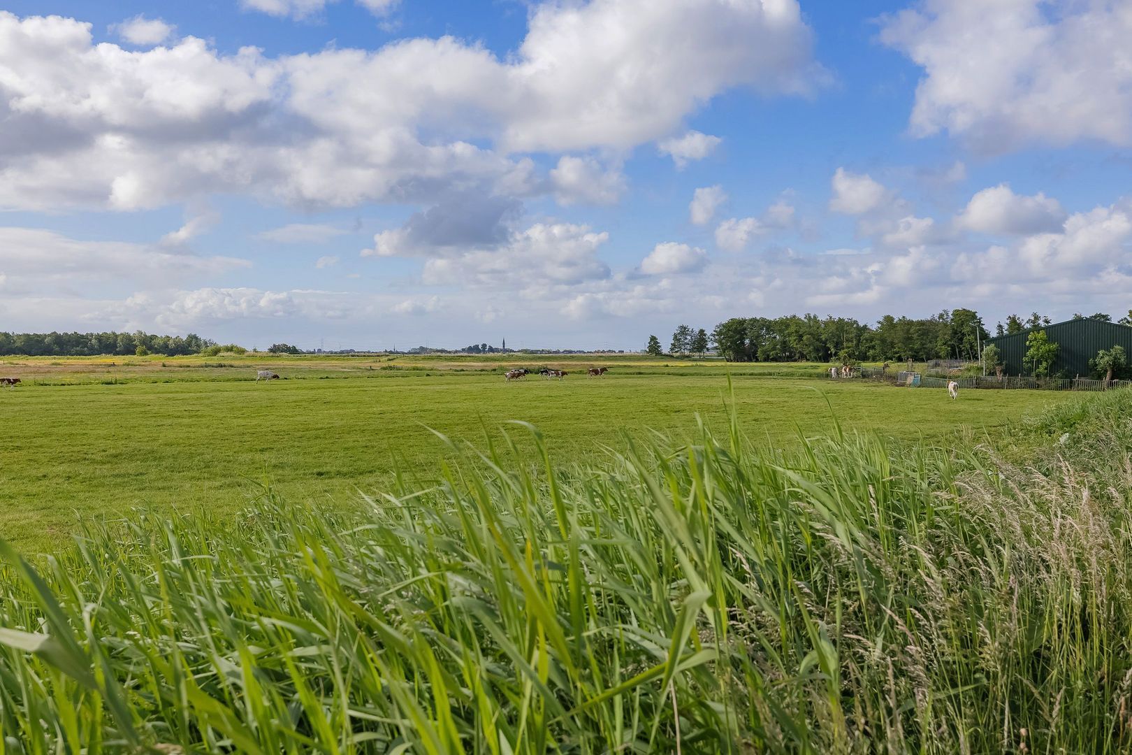 Nassaulaan 12, Kaag foto-63