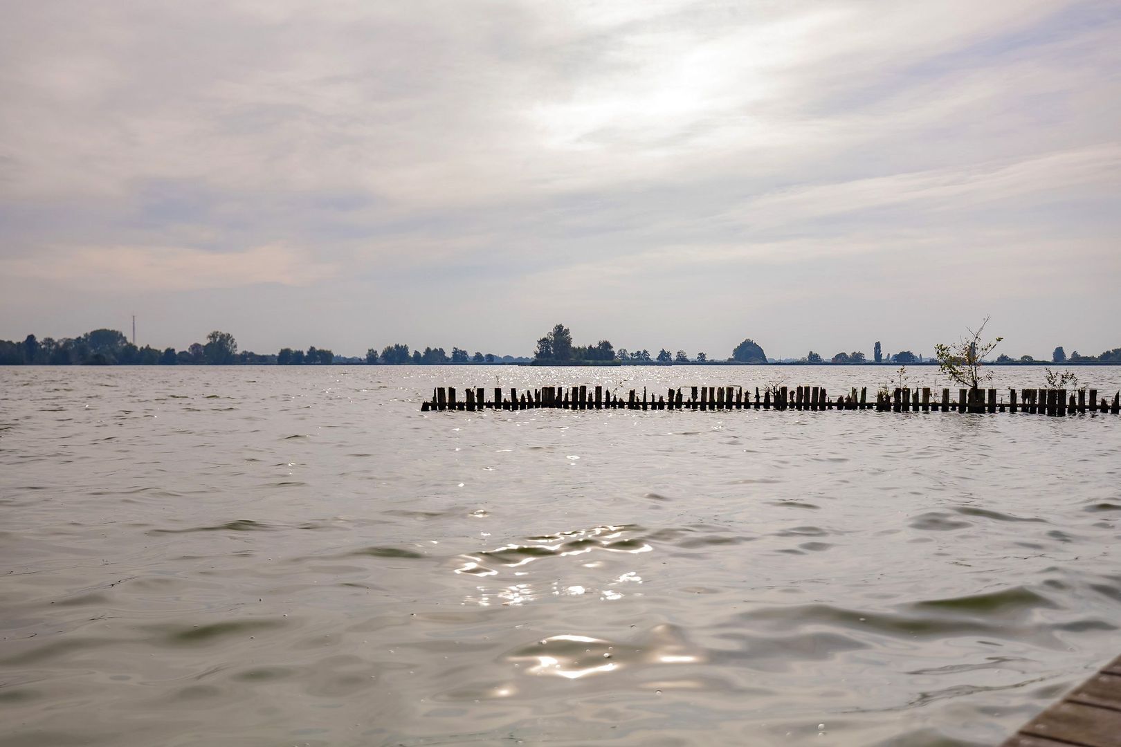 Langeraarseweg 79, Ter Aar foto-75