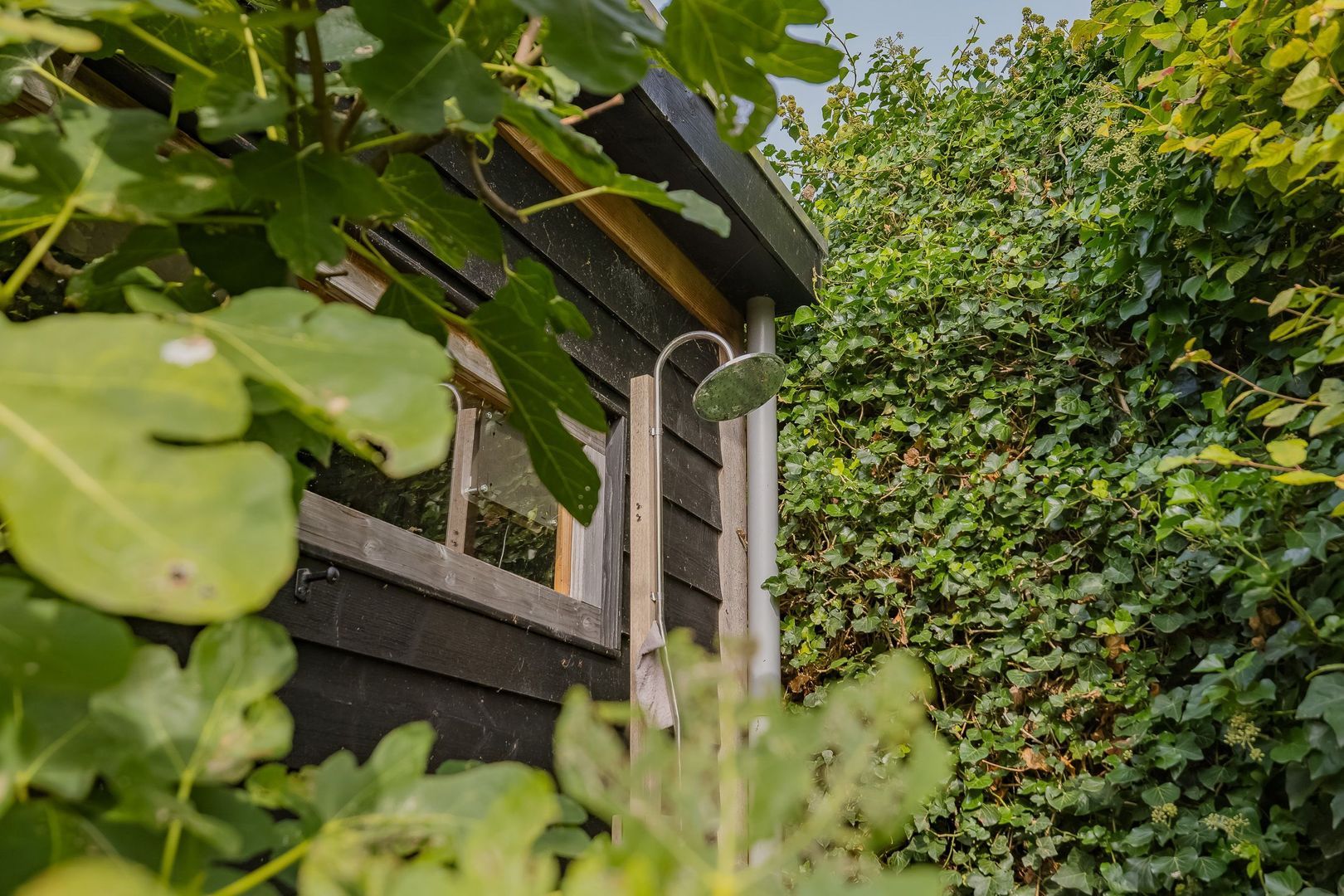 Langeraarseweg 79, Ter Aar foto-56