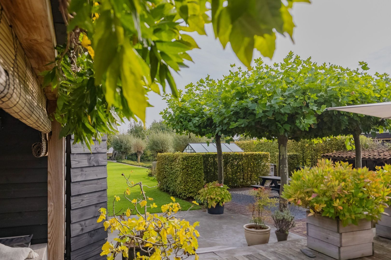 Langeraarseweg 79, Ter Aar foto-54