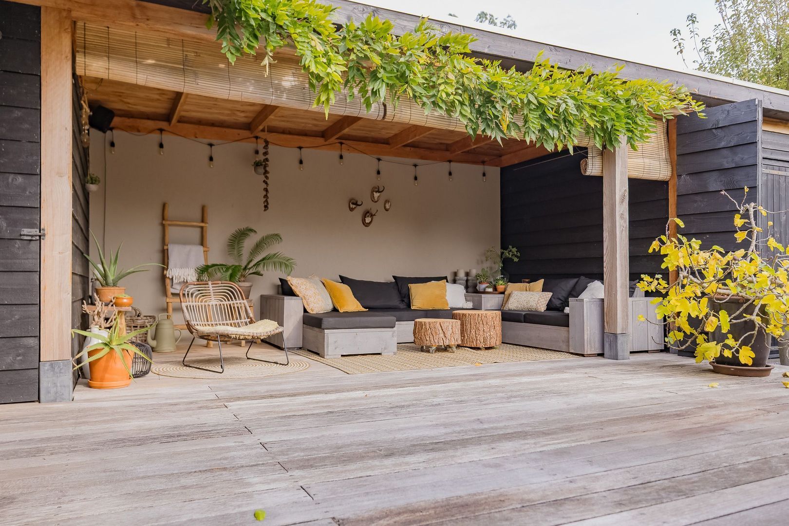 Langeraarseweg 79, Ter Aar foto-2