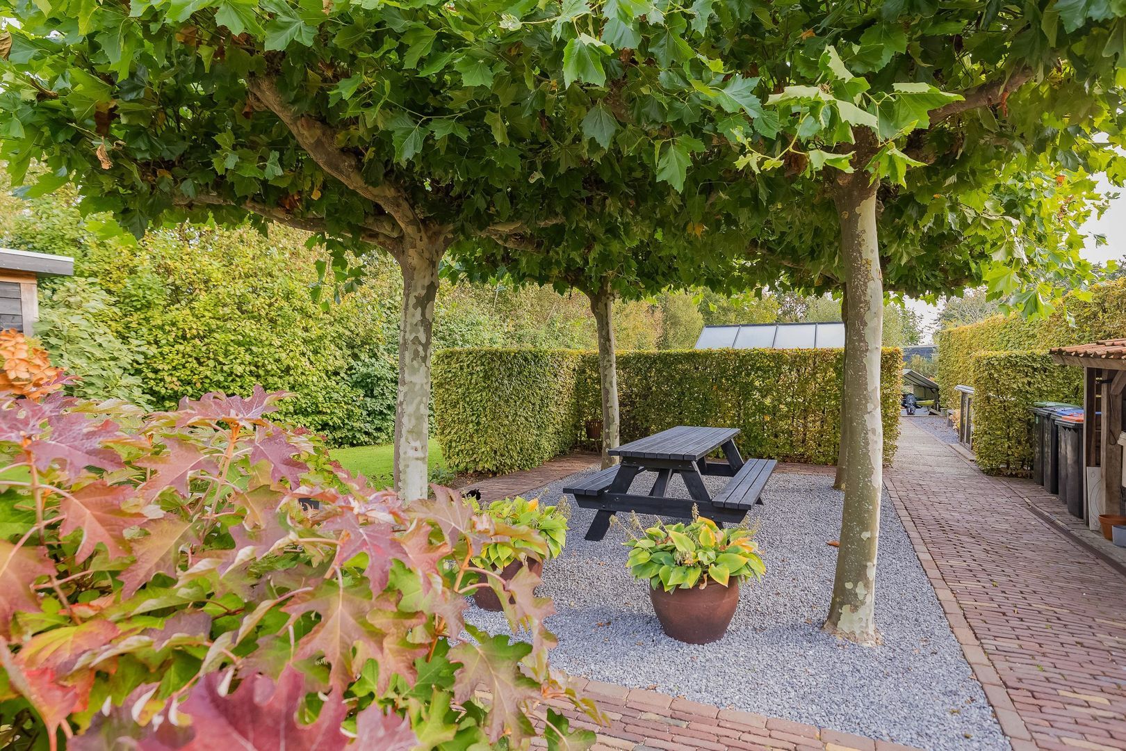 Langeraarseweg 79, Ter Aar foto-51