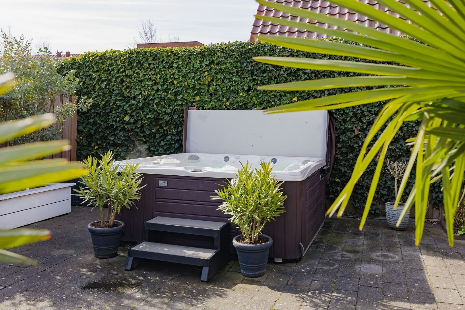 Rumba 3, Nieuw-Vennep foto-72