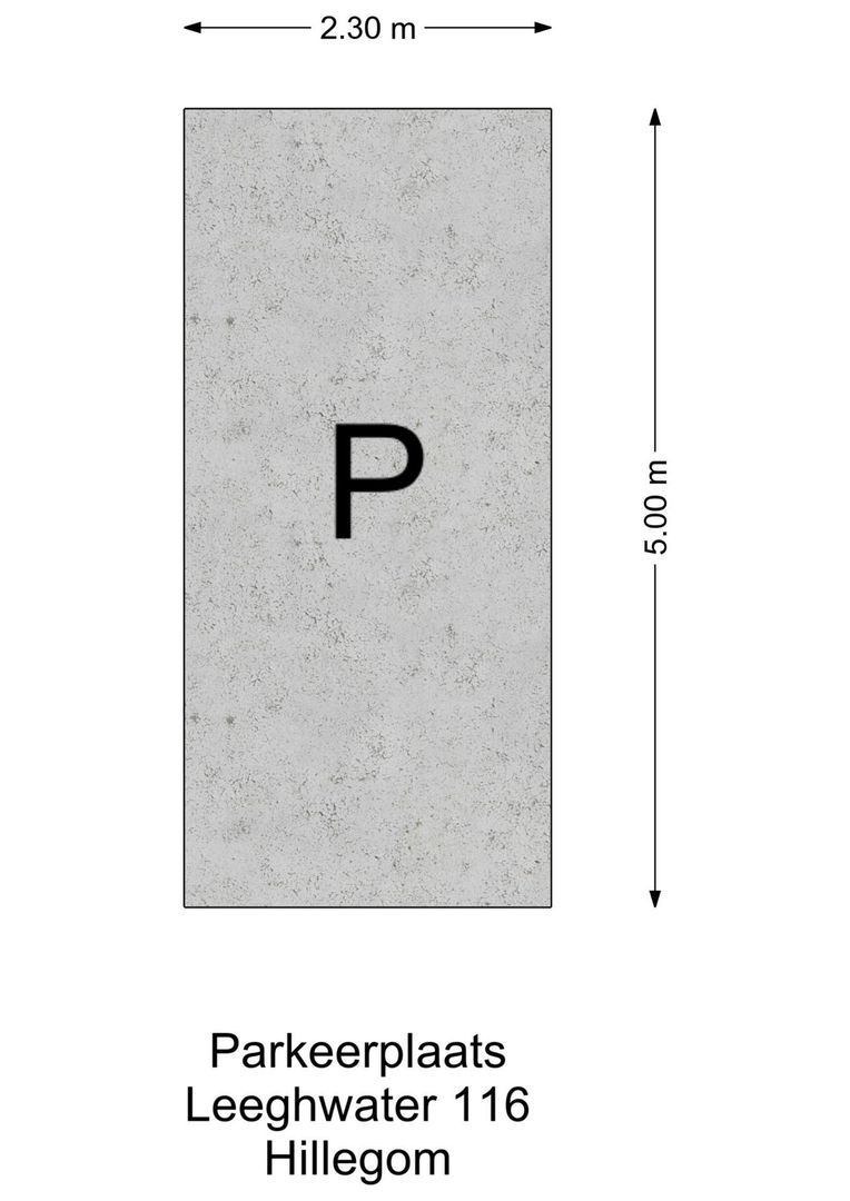 Leeghwater 116, Hillegom foto-60