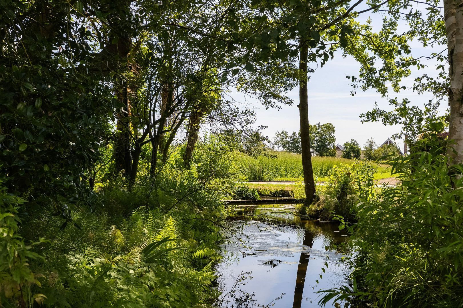 Wasbeeklaan 37, Warmond foto-71