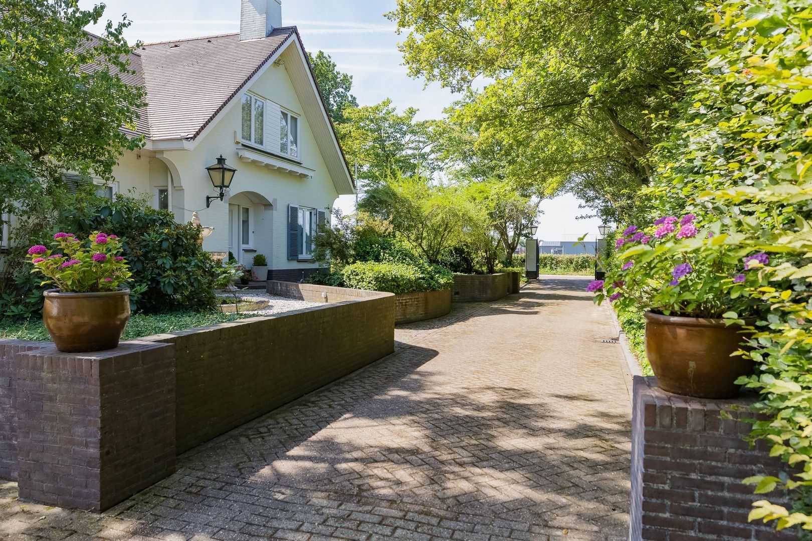 Wasbeeklaan 37, Warmond foto-5