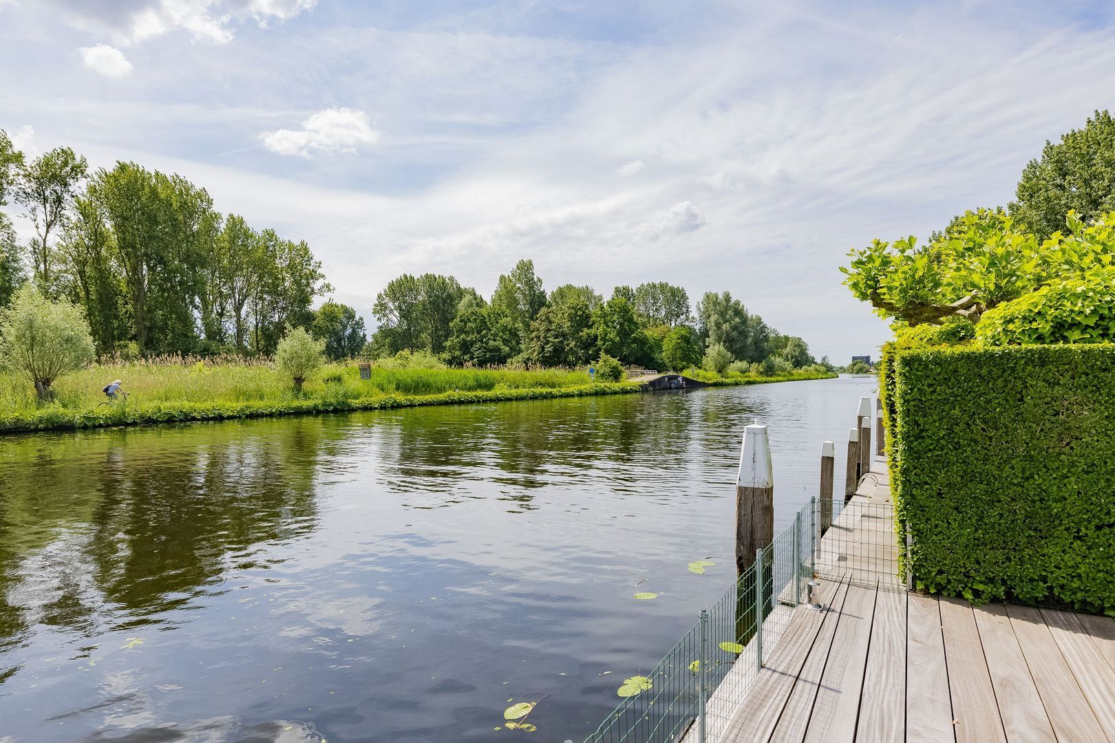 Roerdomperf 10, Voorschoten foto-81