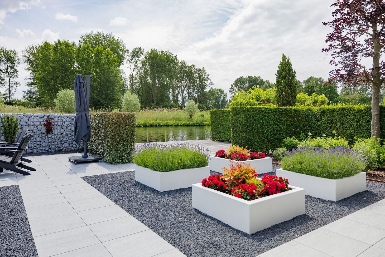 Roerdomperf 10, Voorschoten foto-75