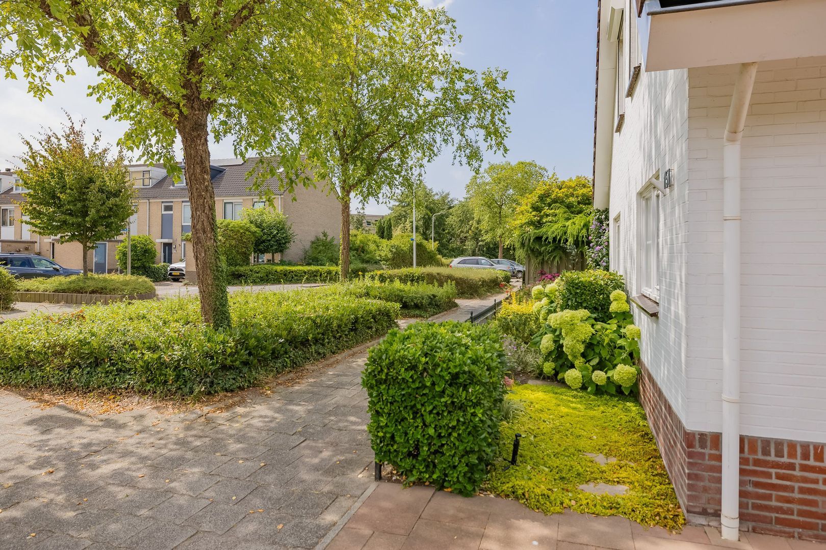 Kruidenschans 151, Voorhout foto-5