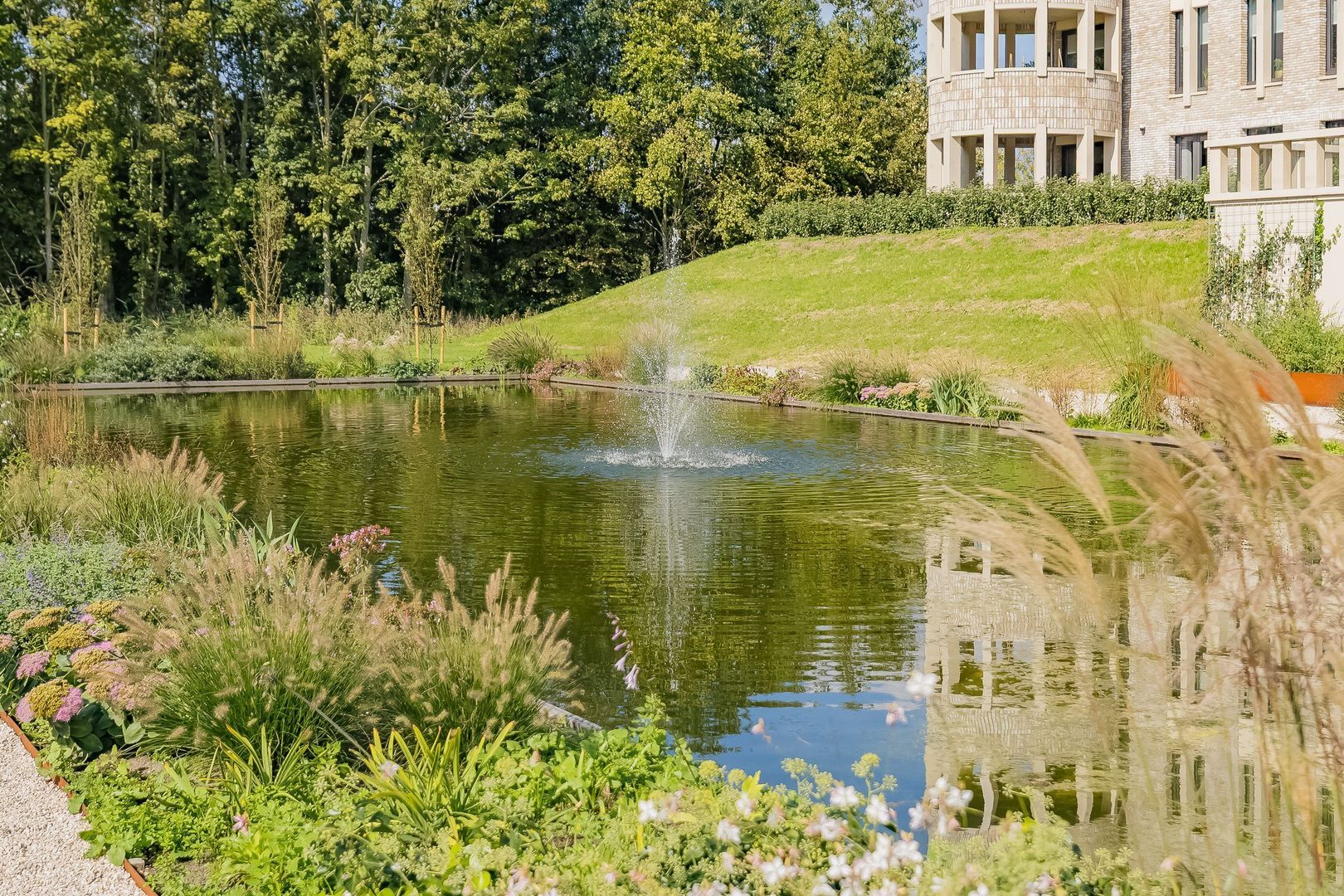 Duinpad 25, Zwaanshoek foto-58