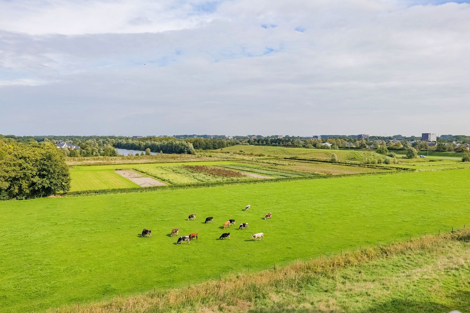 Duinpad 25, Zwaanshoek foto-53