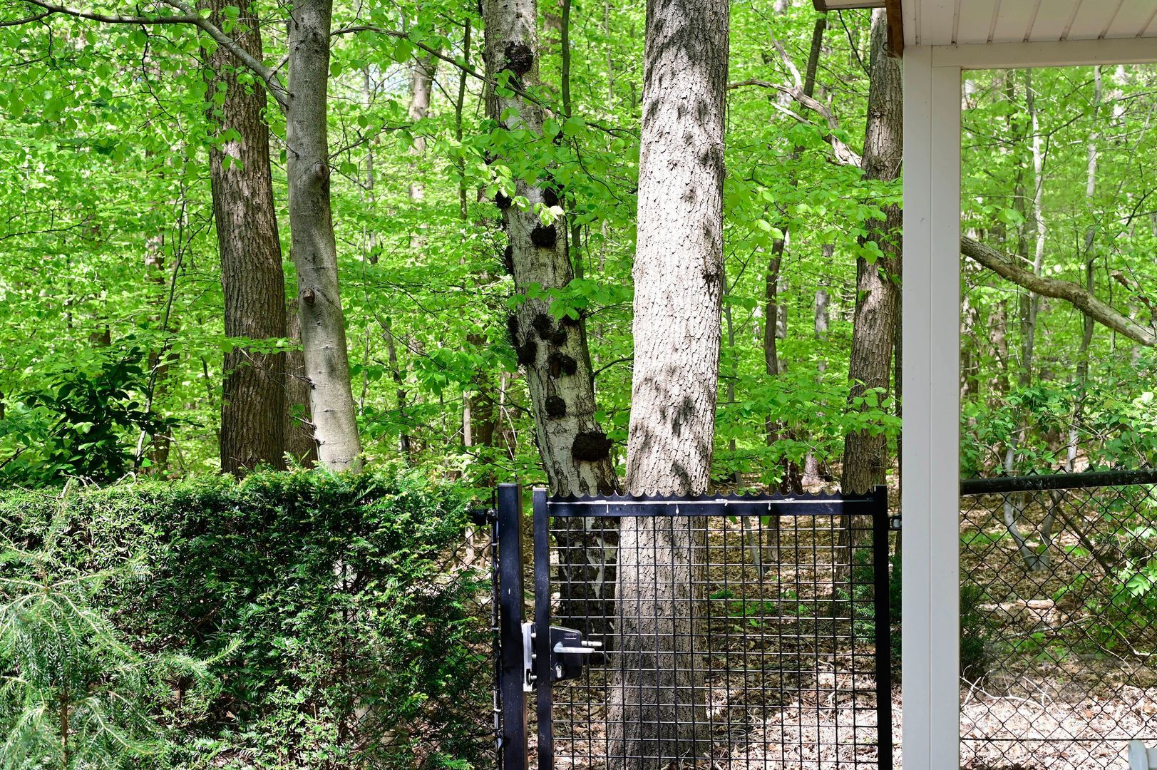 Hunnenpad 2, Putten foto-42