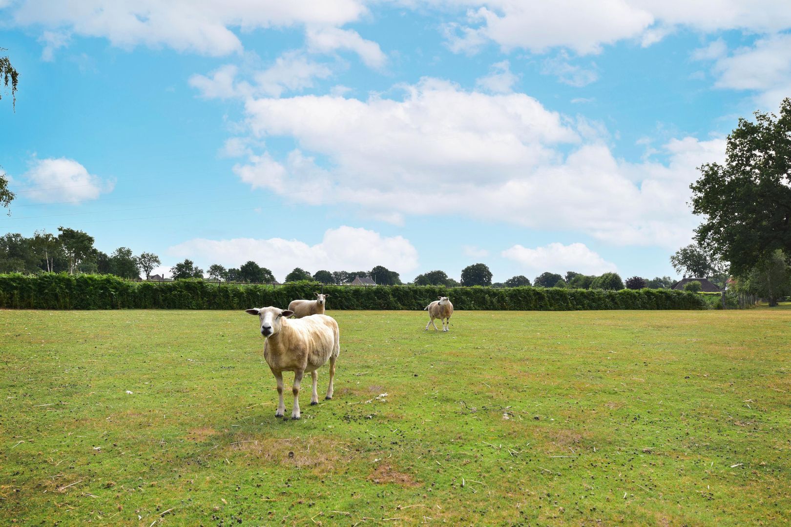 Zuiderzeestraatweg 66, Hierden foto-34