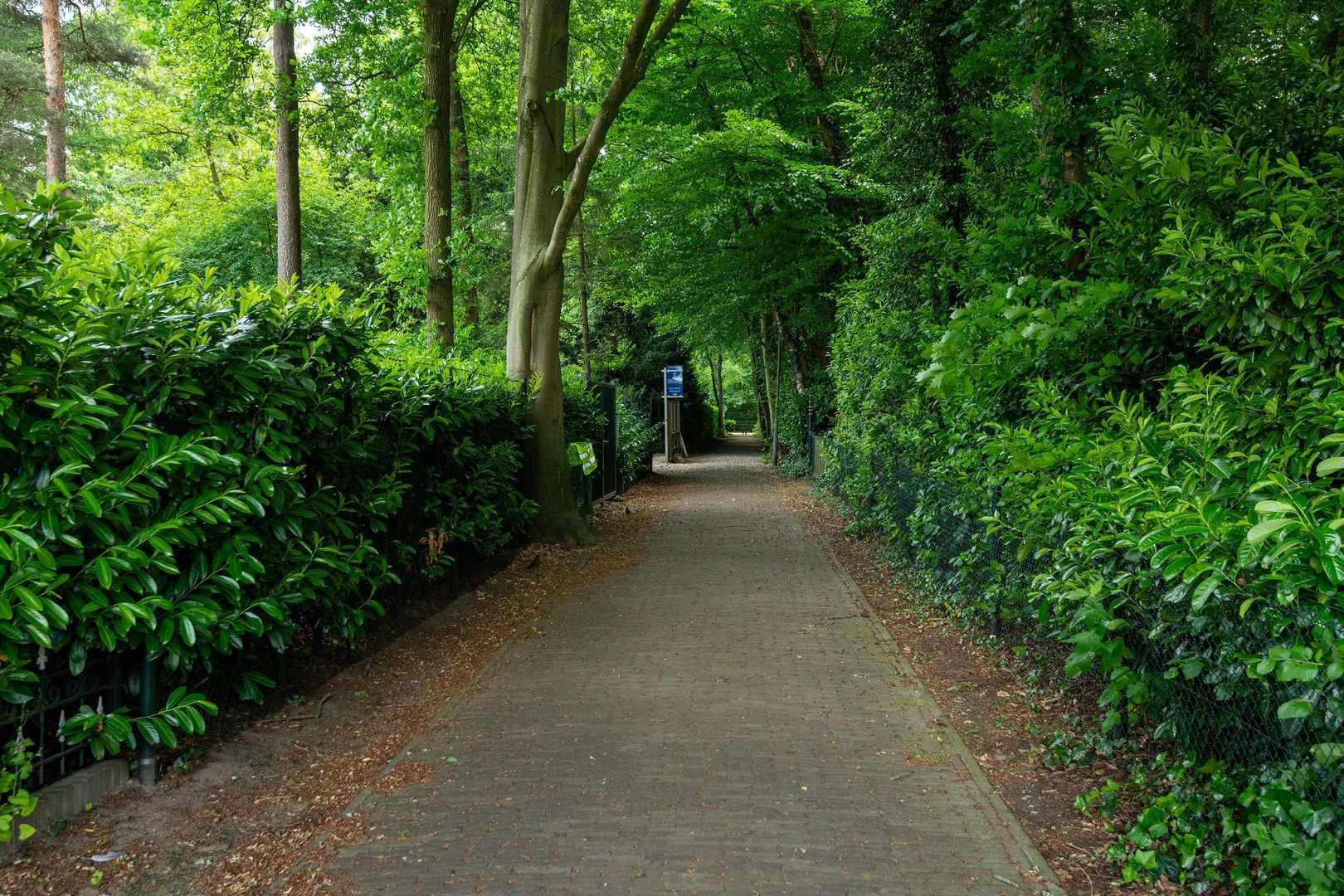 Bosrand 63, Putten foto-41