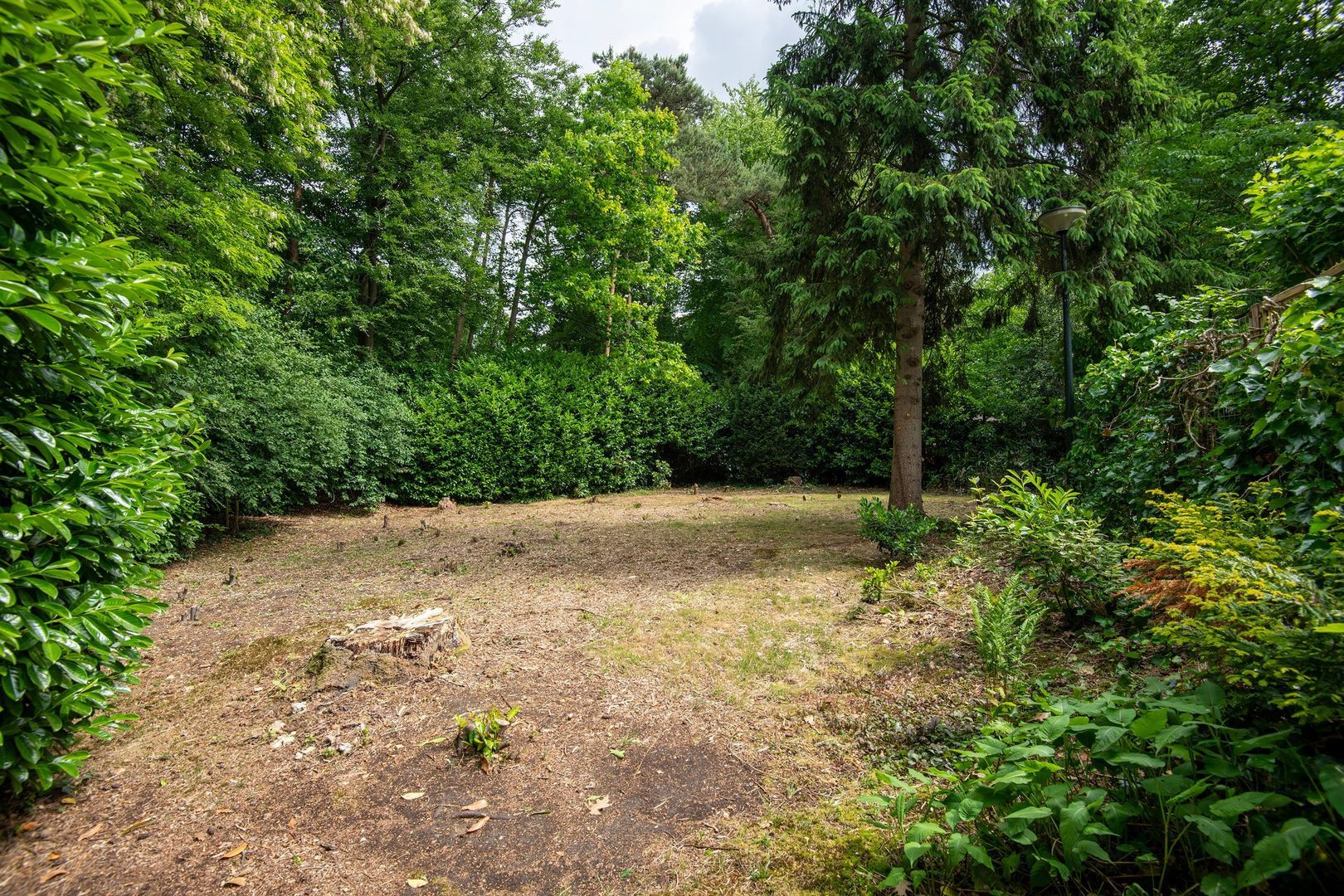 Bosrand 63, Putten foto-36