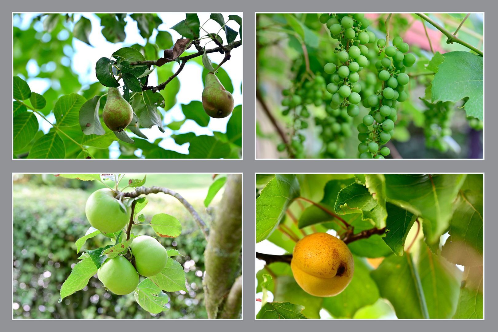 Slichtenhorsterweg 48, Nijkerk foto-24