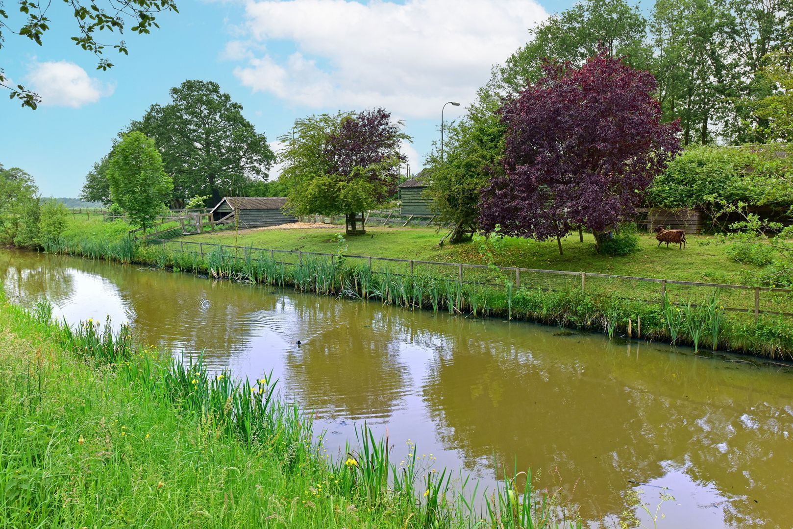 Noordersingel 29, Voorthuizen foto-40