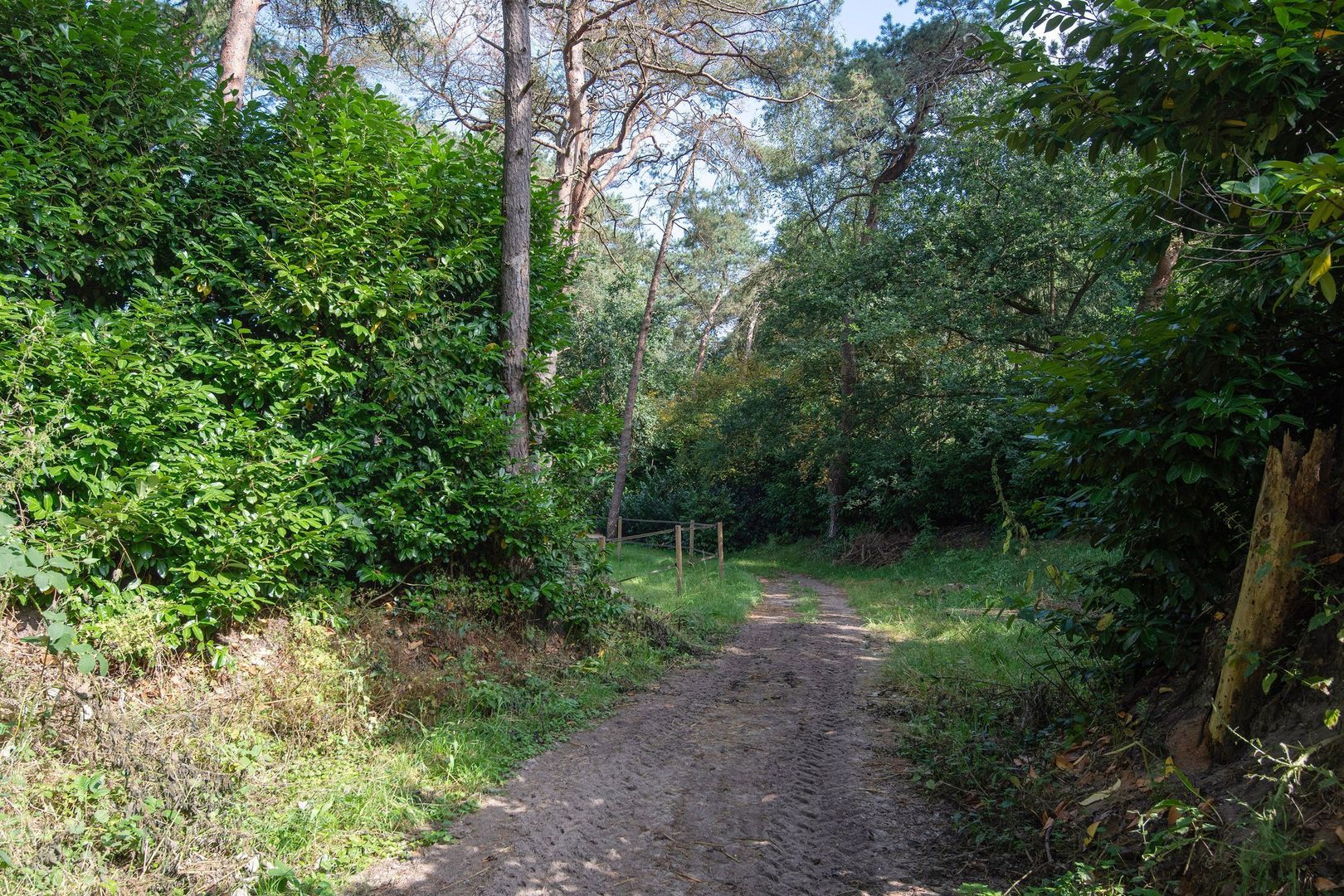 Klarenweg 62, Hulshorst foto-37