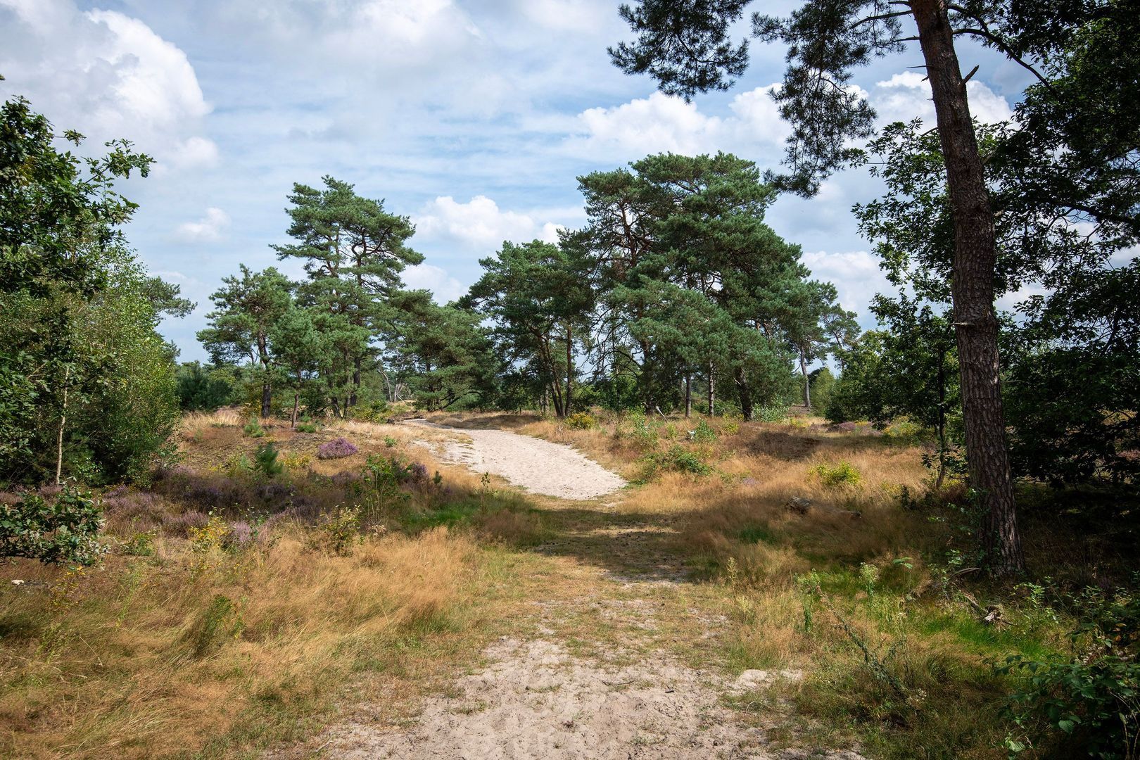 Klarenweg 62, Hulshorst foto-41