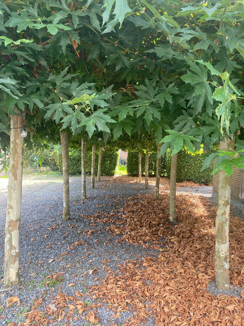 Arkemheenseweg 6, Putten foto-26