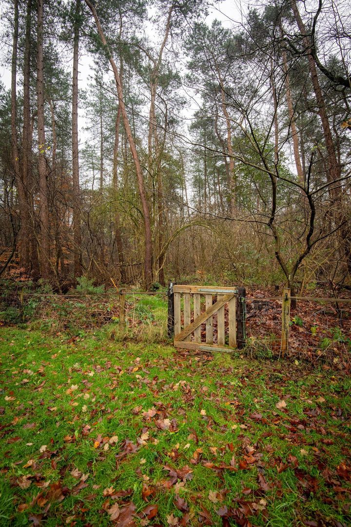 Bato'sweg 12, Putten foto-31