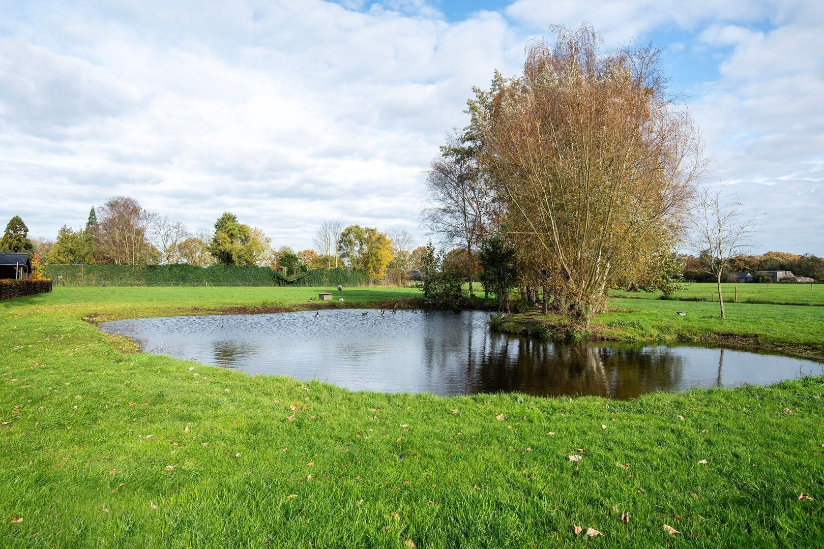 Huinerbroekweg 1, Putten foto-30