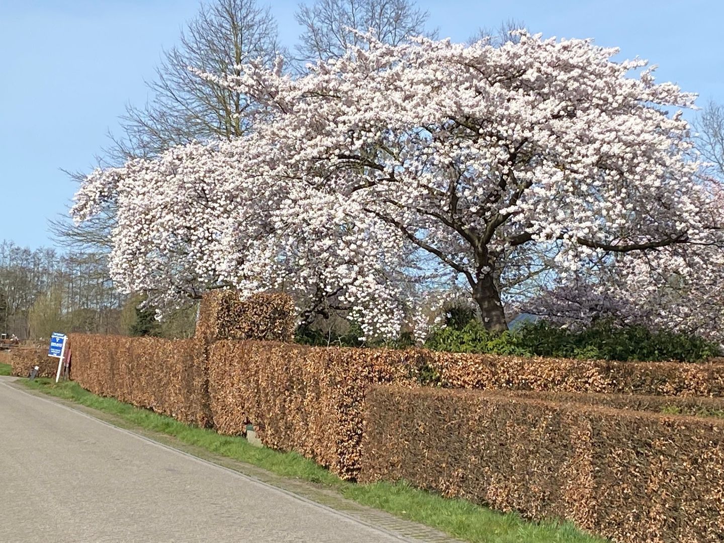 Arkemheenseweg 6, Putten foto-26