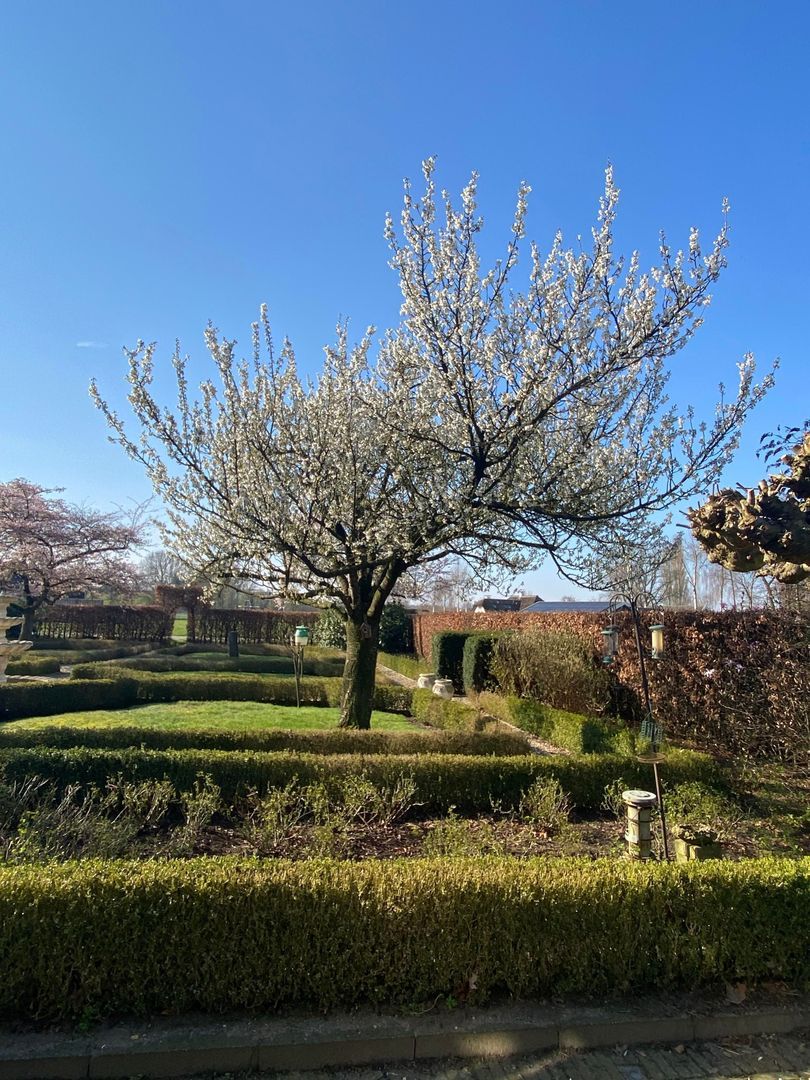 Arkemheenseweg 6, Putten foto-29