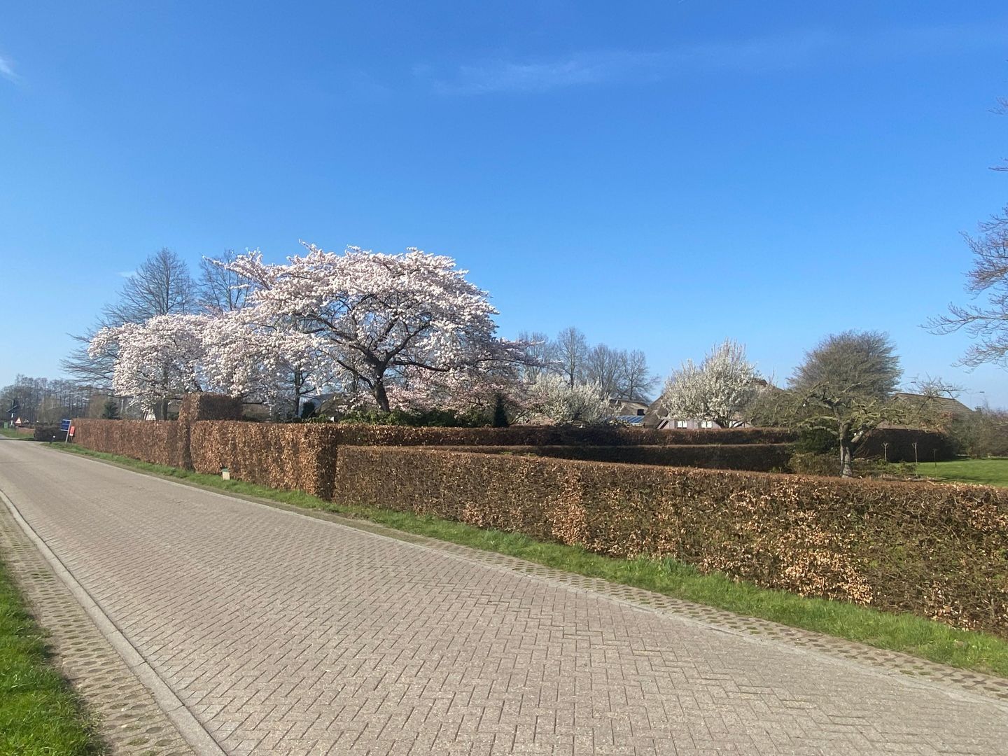 Arkemheenseweg 6, Putten foto-25