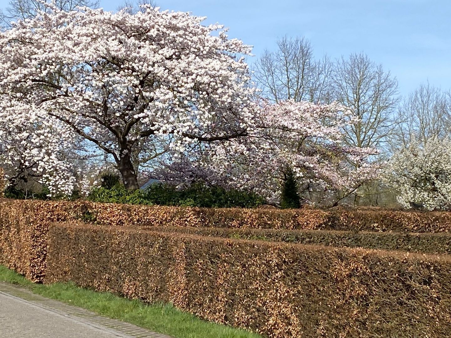 Arkemheenseweg 6, Putten foto-27