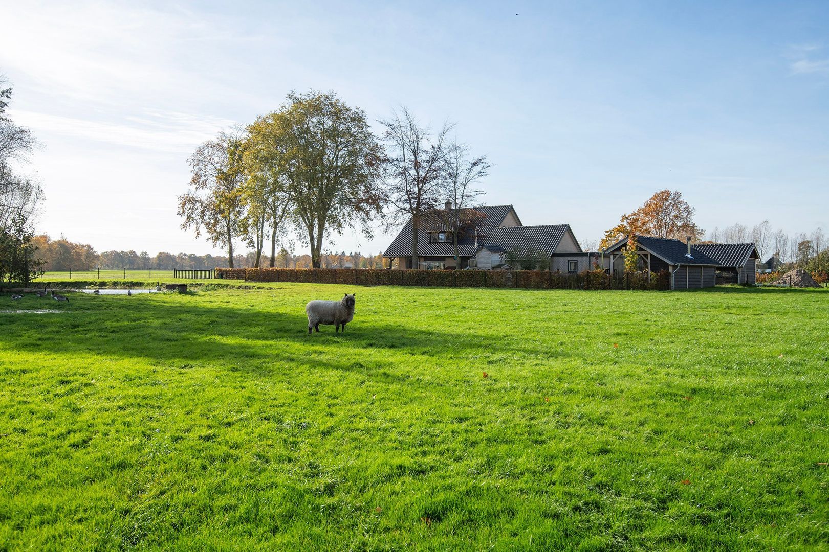 Huinerbroekweg 1, Putten foto-31