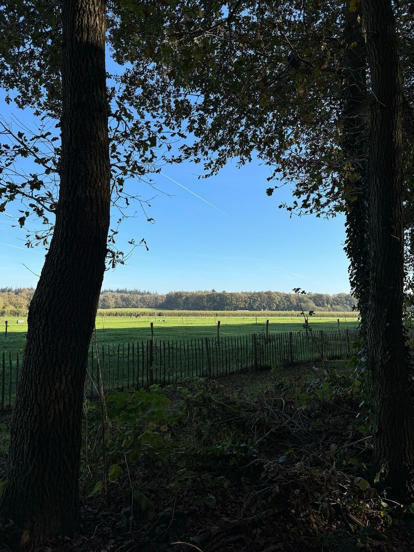 Paleisweg 12, Garderen foto-69