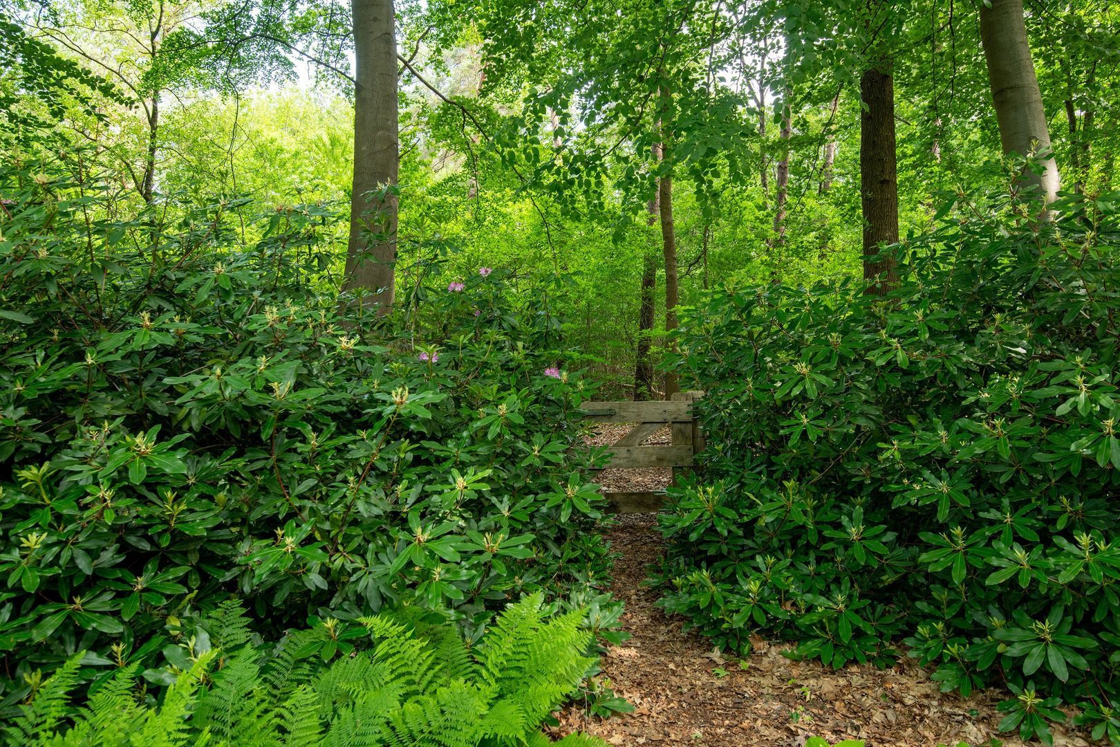 Zuiderveldweg 18 A, Putten foto-10